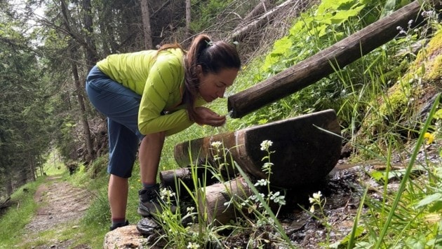 Reinstes Quellwasser am Weg. (Bild: Zwickl)