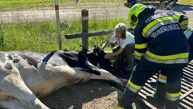 Die Szenen der Rettung (Bild: BFVMZ/FF Krampen)