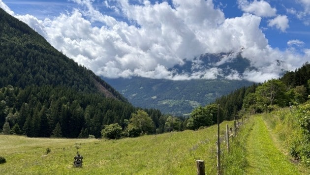 Auf der Sonnenseite in Lassach. (Bild: Zwickl)