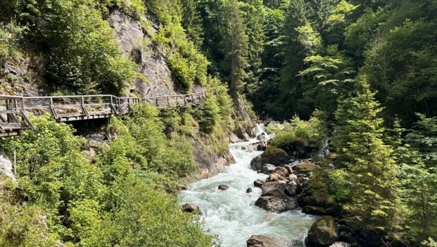 Die Groppensteinschlucht führt über gut ausgebaute Steiganlagen. (Bild: Zwickl)