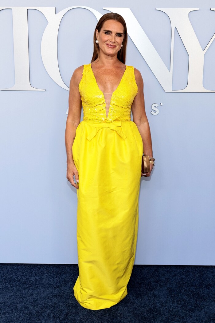 Brooke Shields Kleid bestach vor allem durch das schöne Pailletten-Oberteil samt XL-Ausschnitt.