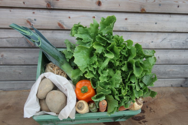 Gemüse aus der Region hilft nicht nur bei einer gesunden Ernährung, sondern unterstützt auch die heimische Wirtschaft. (Bild: zVg)
