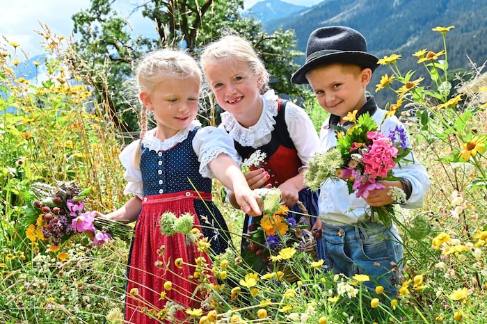 There is also an offer for little herbalists in St. Veit.