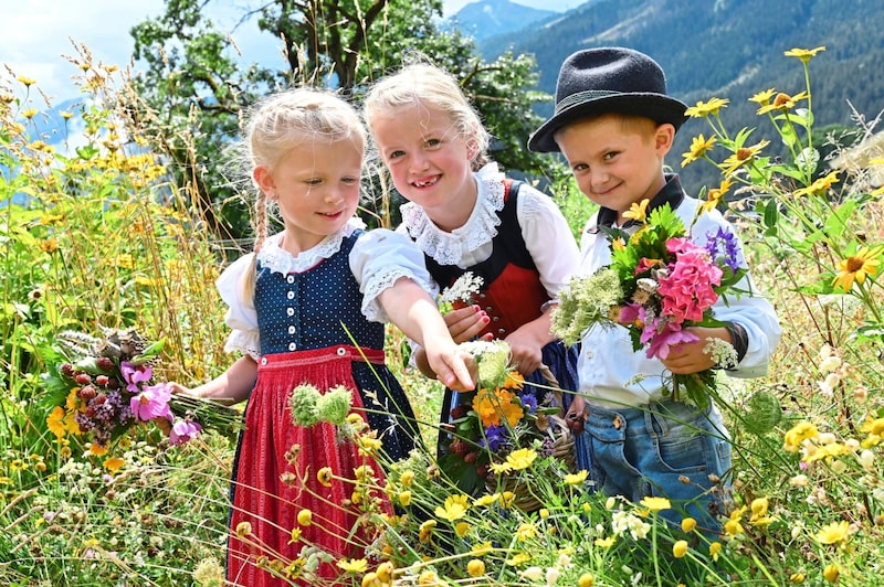 There is also an offer for little herbalists in St. Veit. (Bild: Evelyn Hronek/EVELYN HRONEK)