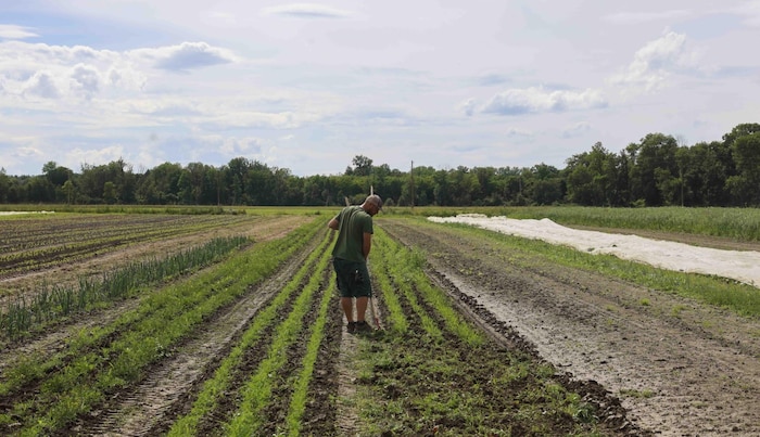 Ludwig Rumetshofer and his family run the Bretterbauer organic farm, an arable and vegetable ...