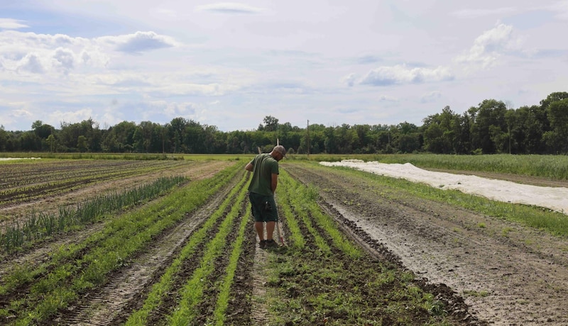 Ludwig Rumetshofer and his family run the Bretterbauer organic farm, an arable and vegetable farm in Braunau am Inn. (Bild: Scharinger Daniel)