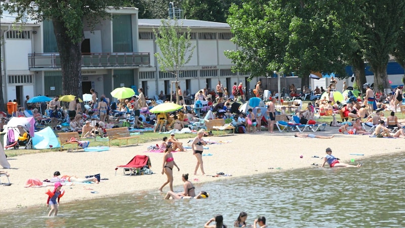 Das Strandbad Alte Donau ist ein Paradies im Sommer. (Bild: Jöchl Martin/Martin Jöchl)