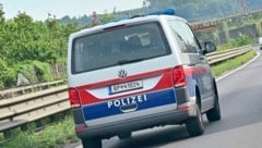 Mehrere Streifen nahmen die Verfolgung auf (Bild: Spitzbart Wolfgang/Wolfgang Spitzbart)