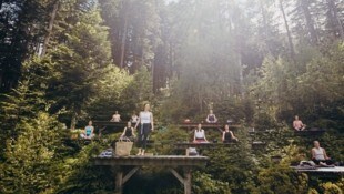 Fernab der Massen auf 1100 Höhenmetern im Bergwald, der zum Priesteregg gehört, ist Yoga- Lehrerin Renate Oberlader in ihrem Element – es ist ein einzigartiger Platz für Asanas auf dem Berg! (Bild: www.alina-atzler.de)