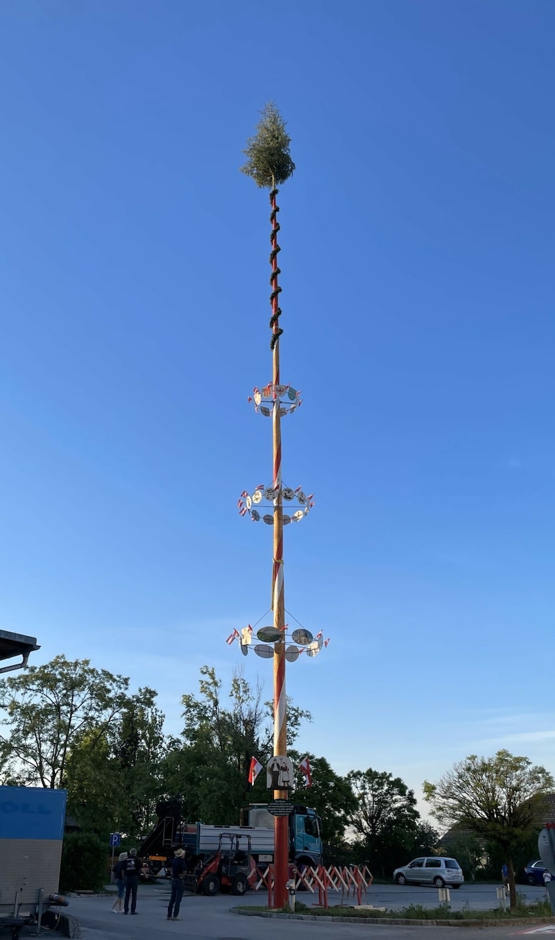 1 Platz/St.Michael: Der Sieger bestach mit seiner Stattlichkeit und geradem Wuchs. (Bild: Melanie Brugger)