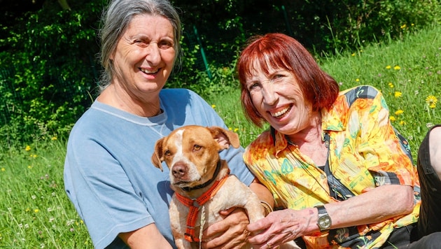 Ursula Lochmann from the Hallein animal shelter with Petra Braun (63) and her Timo (8) (Bild: Markus Tschepp)