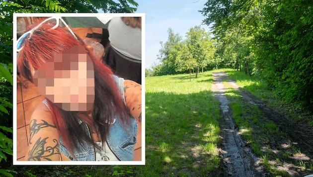 Christa P.'s body has now been found in a field (it could be the one in the picture) in Linz-Ebelsberg. (Bild: Horst Einöder, Repro/Wenzel Markus, Krone KREATIV)