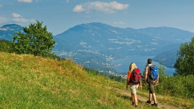 Blick vom Hühnersberg Richtung Millstätter See. (Bild: Alpe-Adria-Trail)