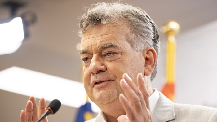 Vizekanzler Werner Kogler (Grüne)