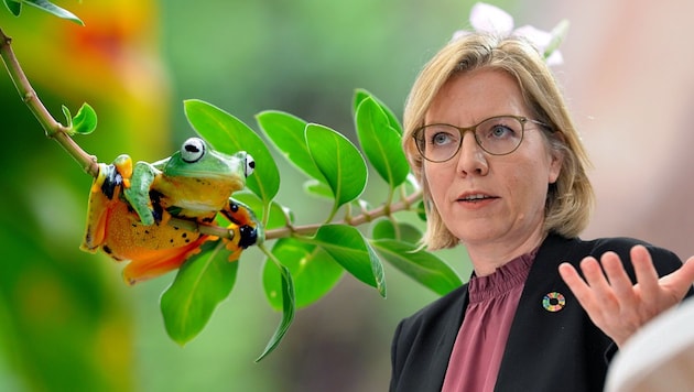The Association of Municipalities is demanding full reimbursement of costs from the Ministry of the Environment for the effects of the signature of department head Leonore Gewessler. (Bild: Krone KREATIV/APA/HELMUT FOHRINGER, stock.adobe.com/andri_priyadi)