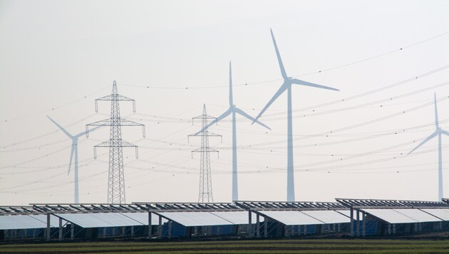 The photovoltaic park in Nickelsdorf is the first in Austria with an output of over 100 megawatts. (Bild: Charlotte Titz)