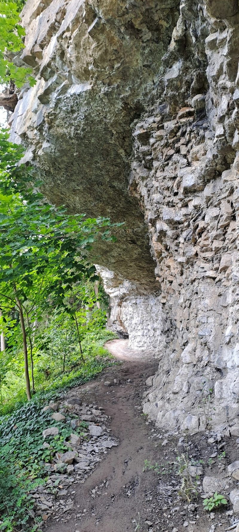 Ein abenteuerlicher Weg der Felsen entlang. (Bild: Rubina Bergauer)