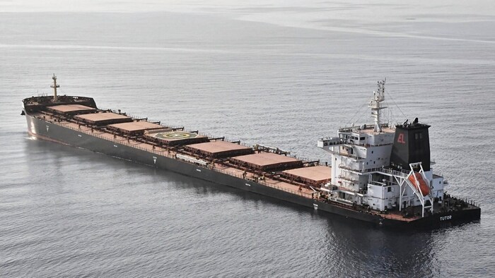The MV Tutor (pictured) sank in the Red Sea after the Houthi attack.