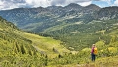 Wer die Ruhe liebt und sich mit einem fantastischen Ausblick in die Ferne belohnen möchte, findet beides bei unserem Wandertipp, der diesmal zum Feistererhorn führt. (Bild: Weges)