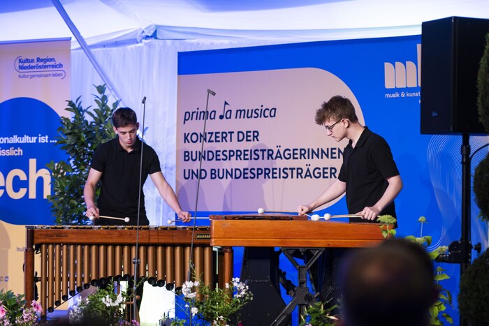 DrumX2