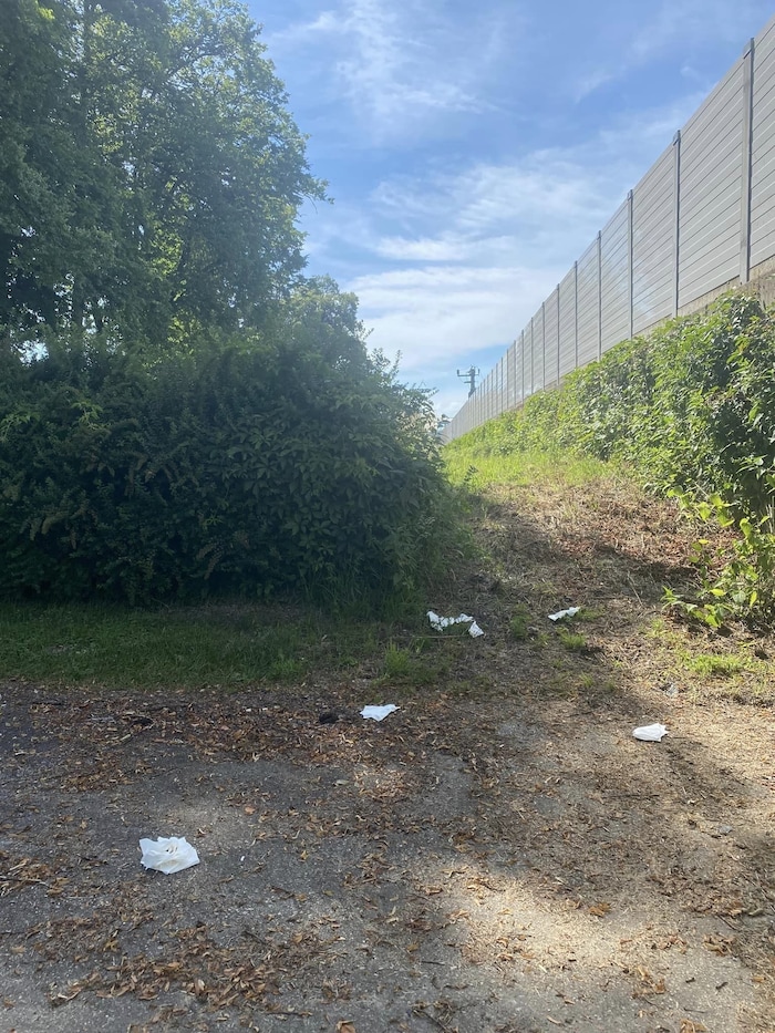 There were piles of excrement and toilet paper on the path to the station.