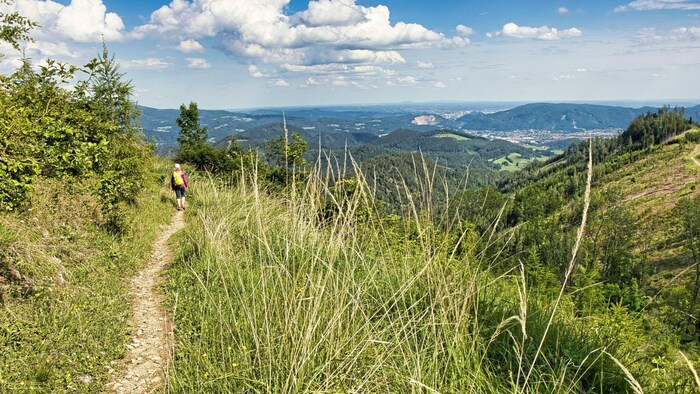 Herrlicher Blick in die Ferne