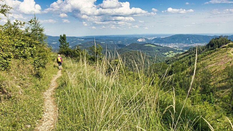 Herrlicher Blick in die Ferne (Bild: Weges)