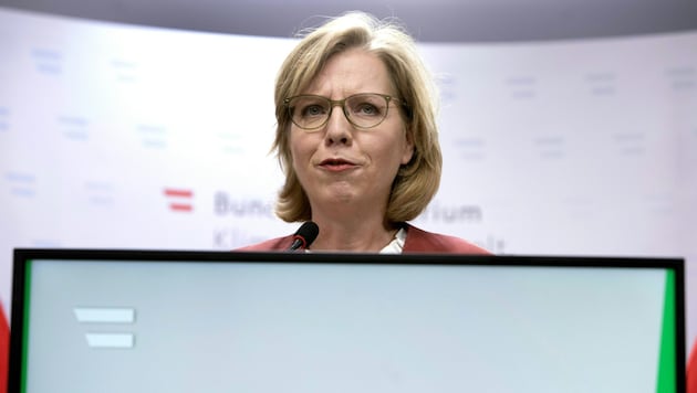Az ÖVP energetikai államtanácsosai a bregenzi konferencián lerázzák Gewessler minisztert. (Bild: APA/ALEX HALADA)