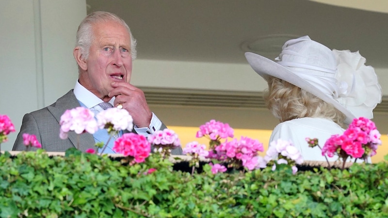 Charles büyülenmiş bir halde yarışı izlerken Camilla bir an için "Bunu izleyemem bile" diye düşünür gibi oldu. (Bild: APA/Jonathan Brady/PA via AP)