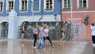 (Bild: zVg)