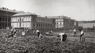 Gemüsegarten hinter der Karl-Franzens-Universität (um 1900).  (Bild: Stadtarchiv Graz)