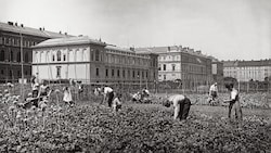 Gemüsegarten hinter der Karl-Franzens-Universität (um 1900).  (Bild: Stadtarchiv Graz)