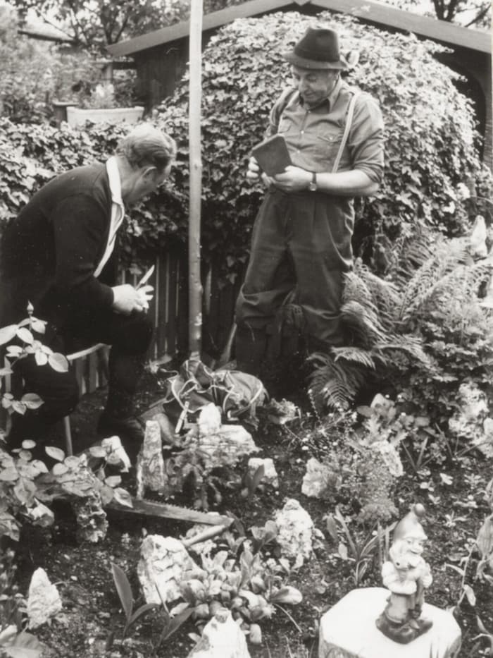 Aufstellen des ersten Maibaumes im Heimgartenverein Steinfeld 1975