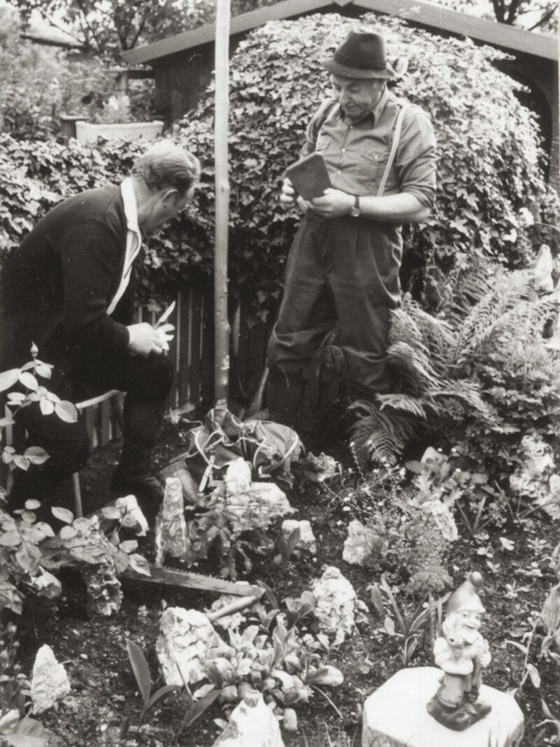 Aufstellen des ersten Maibaumes im Heimgartenverein Steinfeld 1975 (Bild: Heimgartenverein Steinfeld)