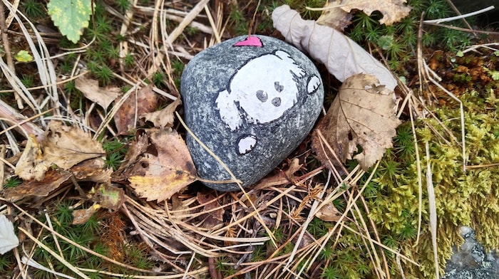 Painted stones - many with animal motifs - can be found along the trail.