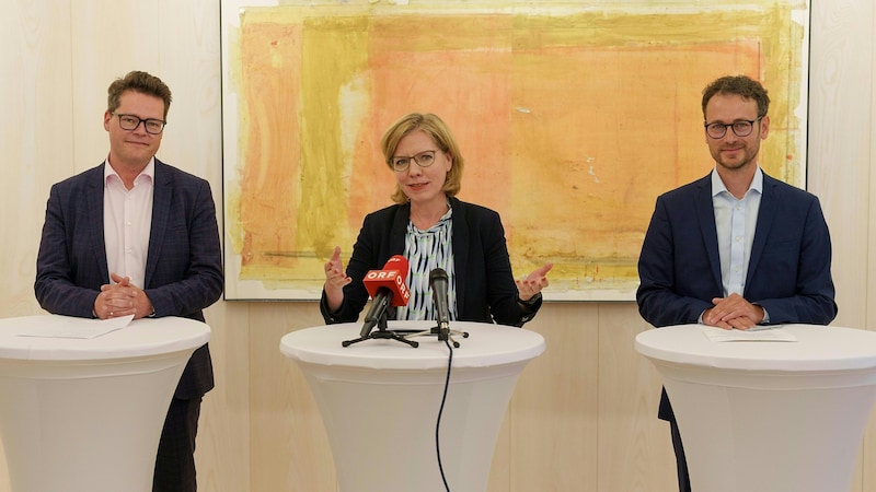 Bakan Gewessler, Viyana ve Vorarlberg eyalet enerji meclis üyeleri Jürgen Czernohorsky (solda, SPÖ) ve Daniel Zadra (sağda, Yeşiller) ile birlikte (Bild: APA/DIETMAR STIPLOVSEK)