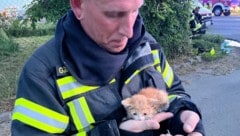 Feuerwehrmann Roman Gärtner von der Freiwilligen Feuerwehr Oeynhausen brachte das Katzen-Baby in Sicherheit. (Bild: Freiwillige Feuerwehr Oeynhausen)