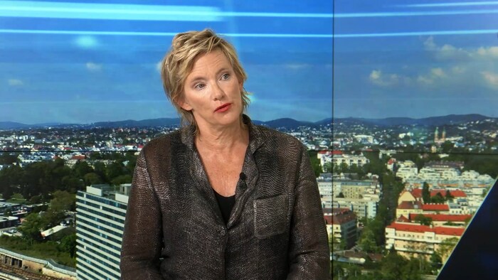 Nina Hoppe kommunikációs tanácsadó a krone.tv-nek adott interjúban.