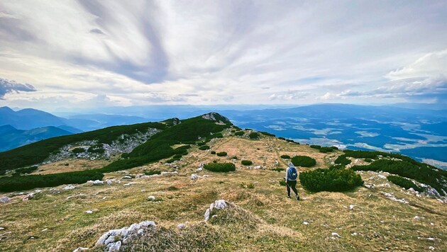 The route leads to Topitza via the Luschaalm. (Bild: Wallner Hannes)