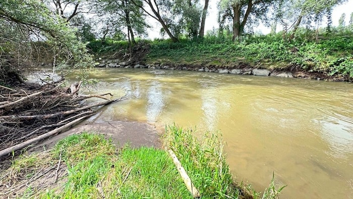 A female swimmer discovered a male corpse in the Raab. The lifeless body had become entangled in ...