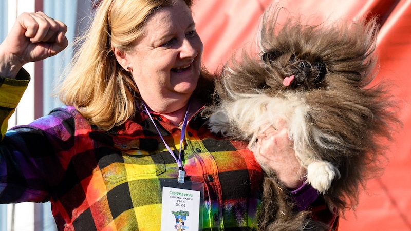 "Wild Thang" is an eight-year-old Pekingese and the new "ugliest dog in the world". (Bild: AFP)