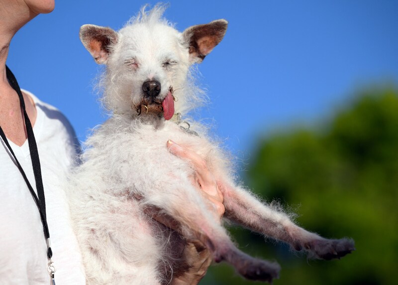 "Daisy Mae" (Bild: AFP)