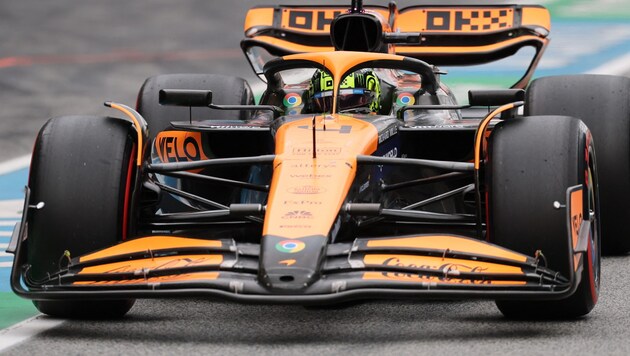 Lando Norris (Bild: AFP)