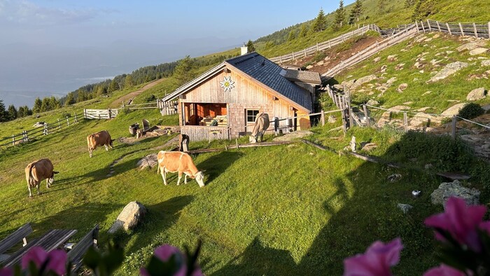 Mein Blick aus dem Fenster von der Millstätter Hütte.
