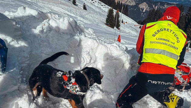 Bei Bergungen aus Lawinen kommen auch Suchhunde zum Einsatz. (Bild: Wallner Hannes)