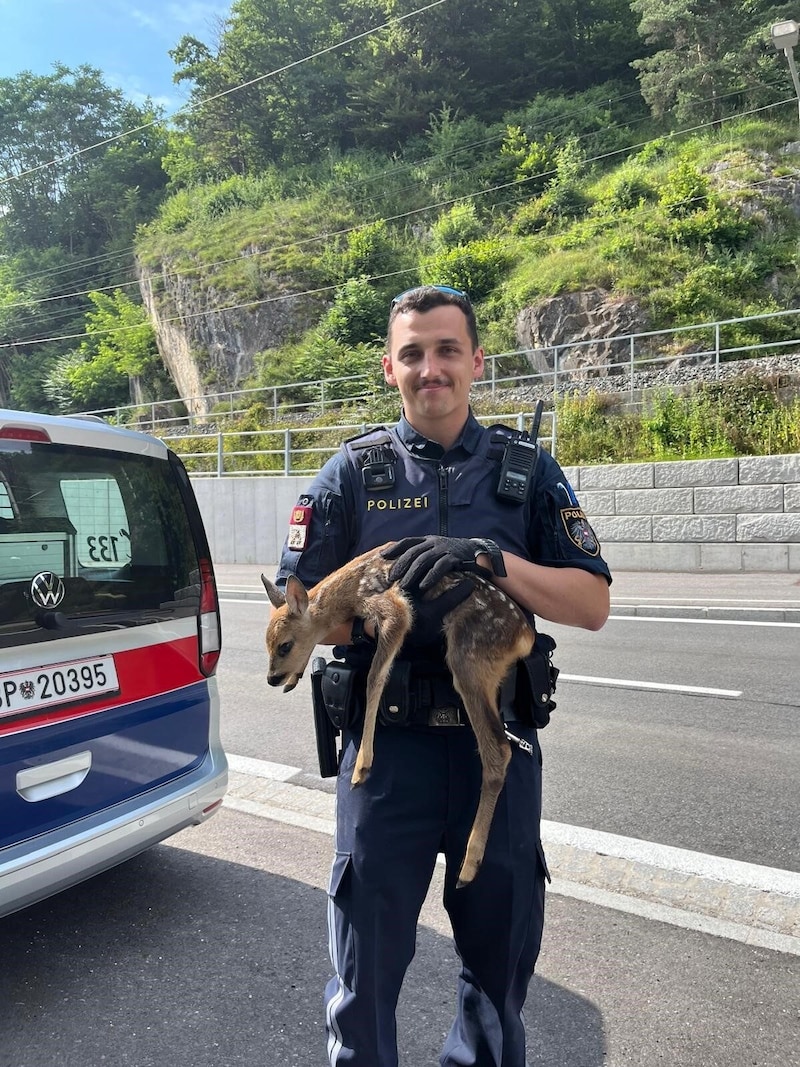 Die Polizei wurde für ein Rehkitz zum Retter.  (Bild: LPD Kärnten )