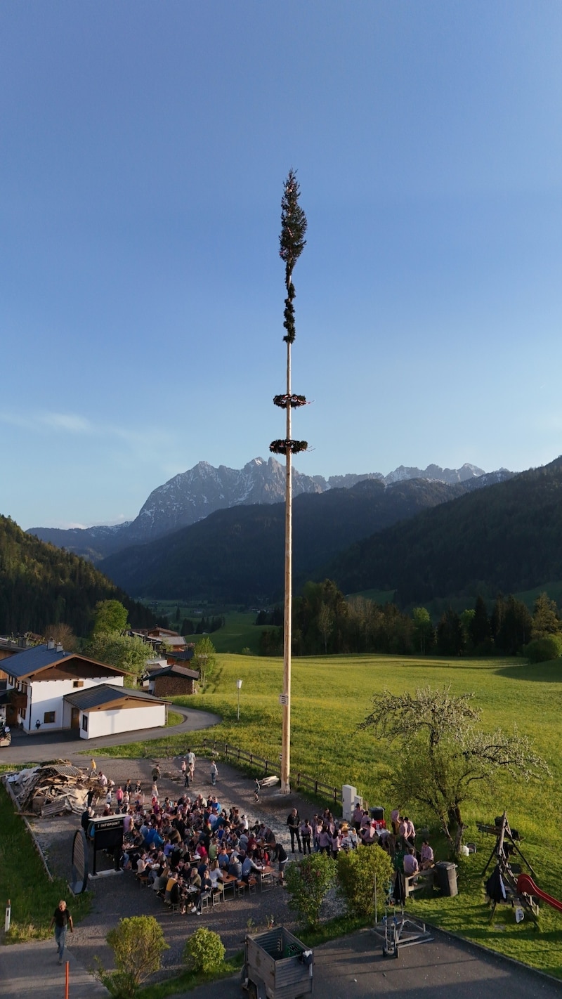 1st place/Kössen: The winning maypole from Kössen impressed the judges with its enormous stateliness and straight growth. (Bild: zVg)