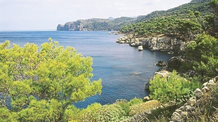 „Reisezeit – Kurztrip Mallorca: Höhlen und Fincas“: (Montag, 21.50, ORF 2).