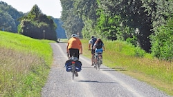 Das Radverbot gilt fast in der ganzen unteren Lobau: Vom Kühwörther Wasser bis Donau-Oder-Kanal. (Bild: Willfried Gredler-Oxenbauer / picturedesk.com)