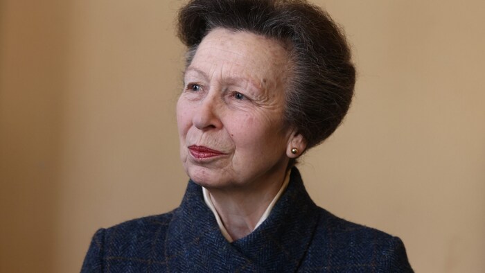 Prinzessin Anne kann sich laut britischer Medien an den Hergang des Unfalls „nicht genau ...